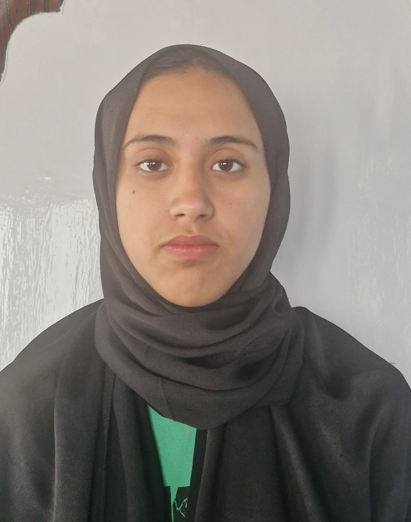 Profile photo of Mir Madina Munir